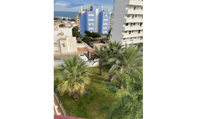 Venta - Studio -
Torrevieja - Torreblanca