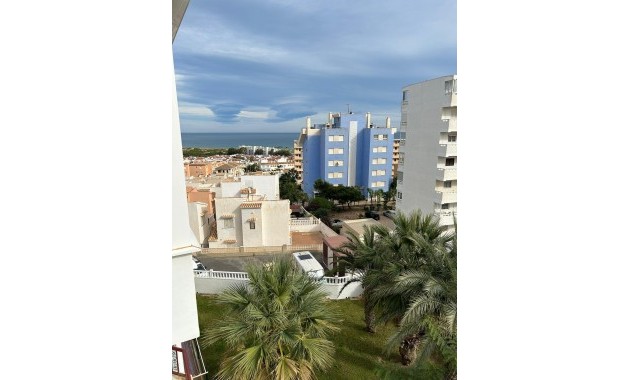 Venta - Studio -
Torrevieja - Torreblanca