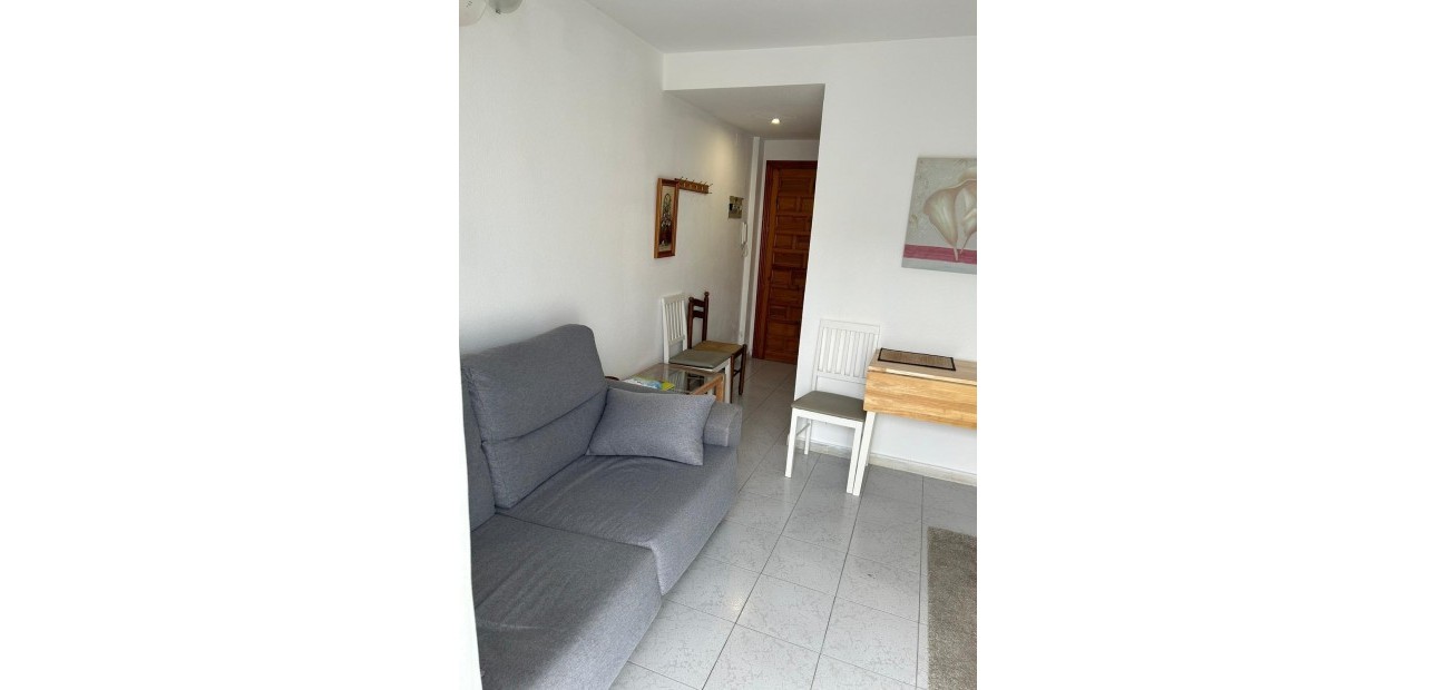 Venta - Studio -
Torrevieja - Torreblanca