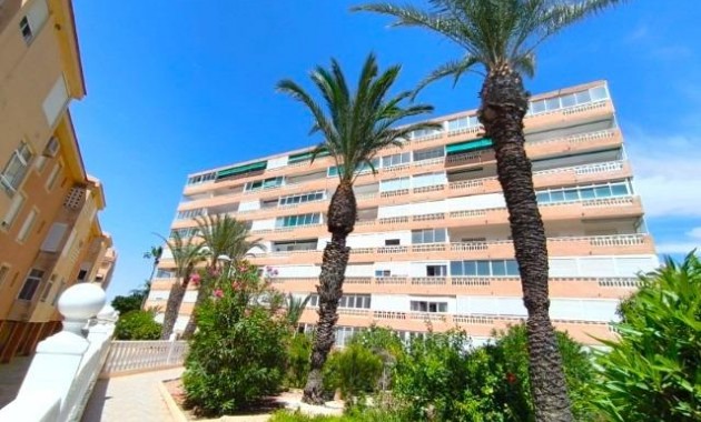 Venta - Apartamento / piso -
Torrevieja - La Mata