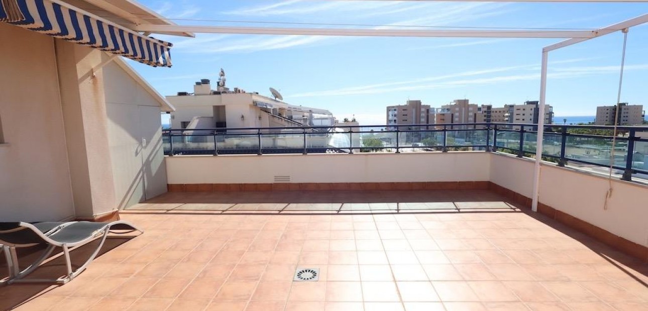 Sale - Penthouse -
Pilar de la Horadada - Pueblo Latino