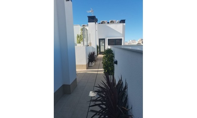 Nieuwbouw - Appartement / flat -
Torrevieja - Torrevieja - Playa del Cura