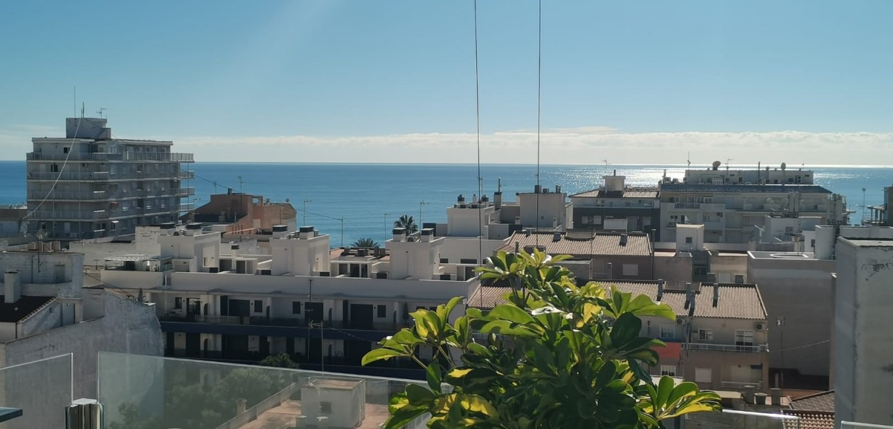 Nieuwbouw - Appartement / flat -
Torrevieja - Torrevieja - Playa del Cura