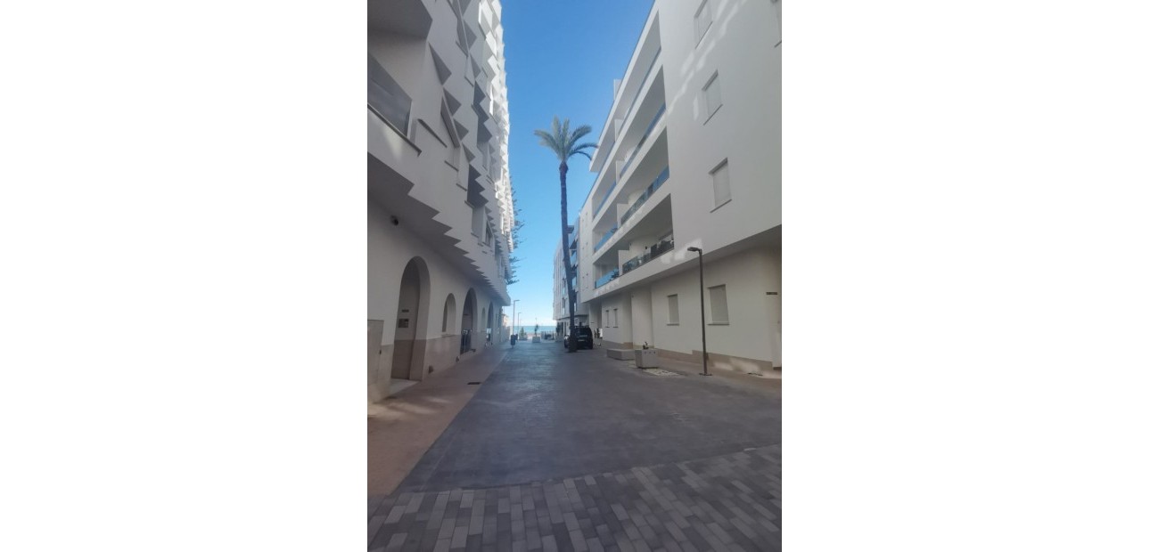 Nieuwbouw - Penthouse -
Torrevieja - Torrevieja - Playa de los Locos