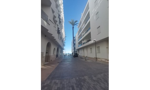 Nieuwbouw - Penthouse -
Torrevieja - Torrevieja - Playa de los Locos