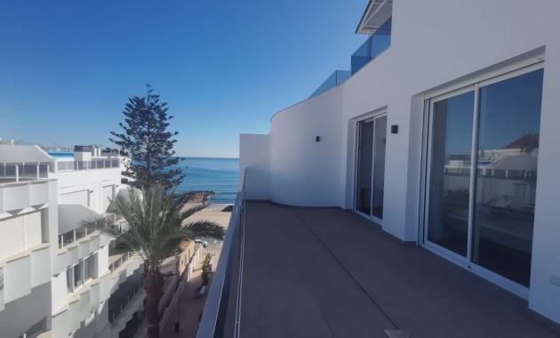 Nieuwbouw - Penthouse -
Torrevieja - Torrevieja - Playa de los Locos