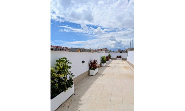 Nieuwbouw - Appartement / flat -
Torrevieja - Torrevieja - Playa del Cura
