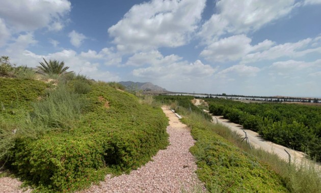 Herverkoop - Finca / Country Property -
Orihuela