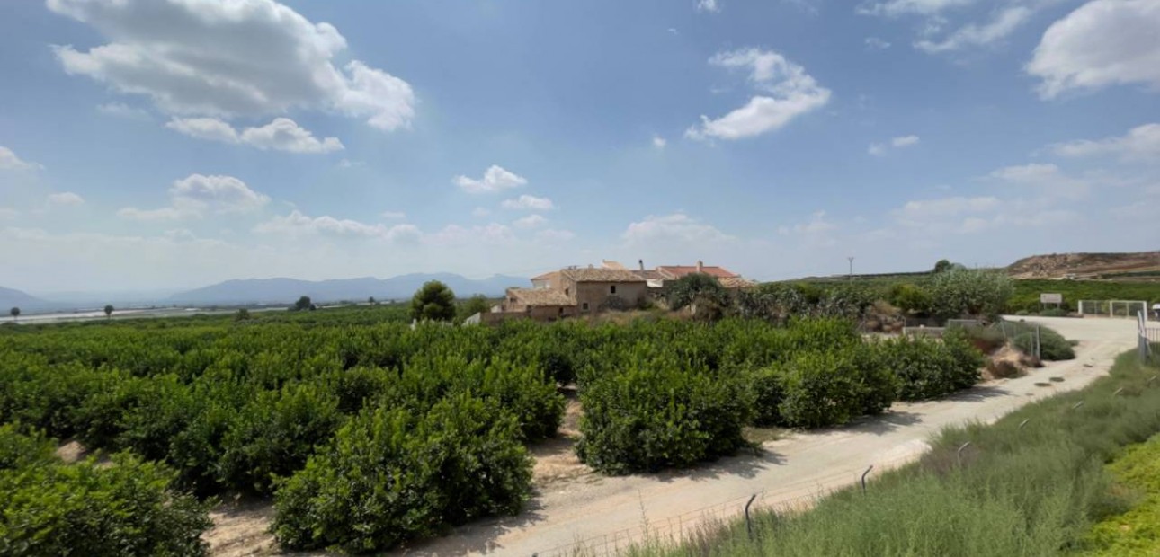 Herverkoop - Finca / Country Property -
Orihuela