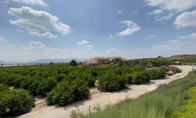 Herverkoop - Finca / Country Property -
Orihuela