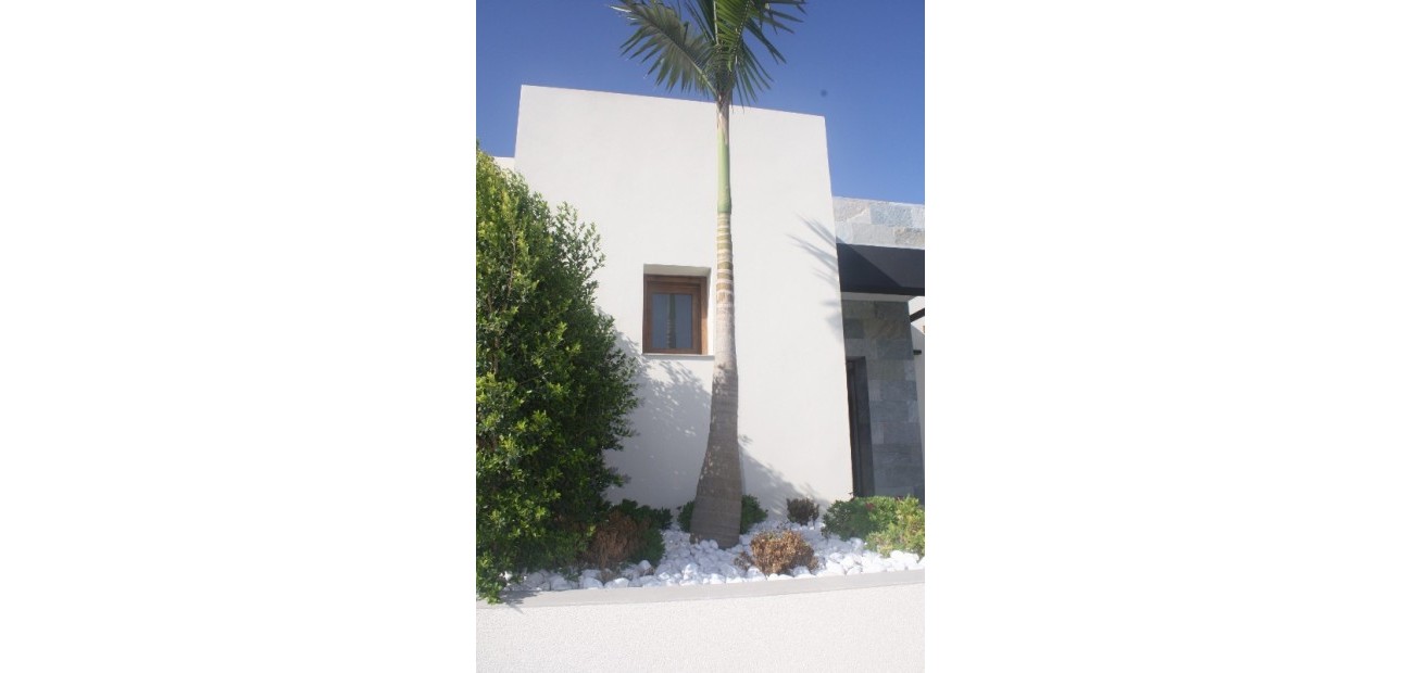 Nieuwbouw - Villa -
Los Altos