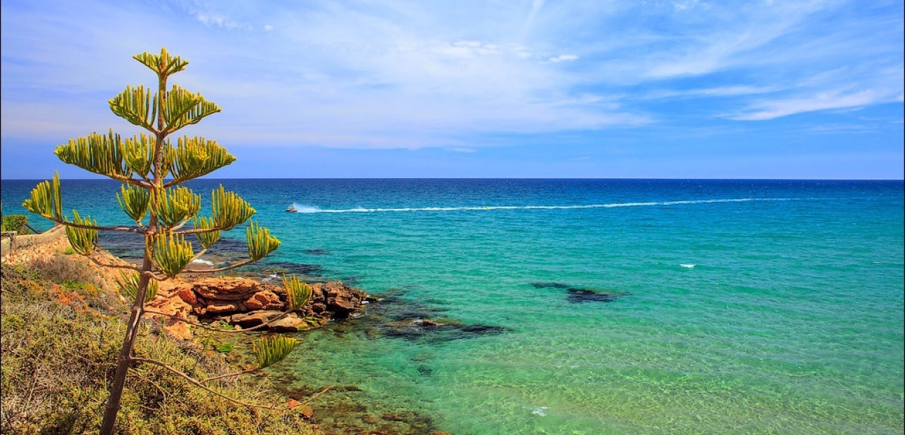 Nieuwbouw - Villa -
Los Altos