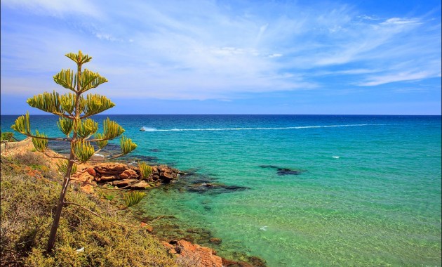 Nieuwbouw - Villa -
Los Altos