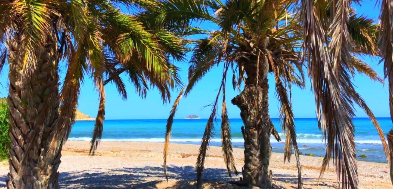 Nieuwbouw - Appartement / flat -
Benidorm - Alicante