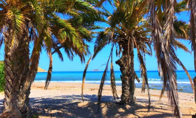 Nieuwbouw - Appartement / flat -
Benidorm - Alicante