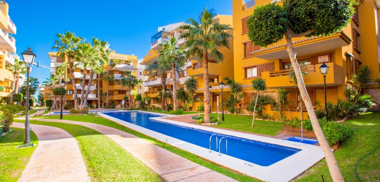 Alquiler a corto plazo - Apartamento / piso -
Punta Prima - La Recoleta