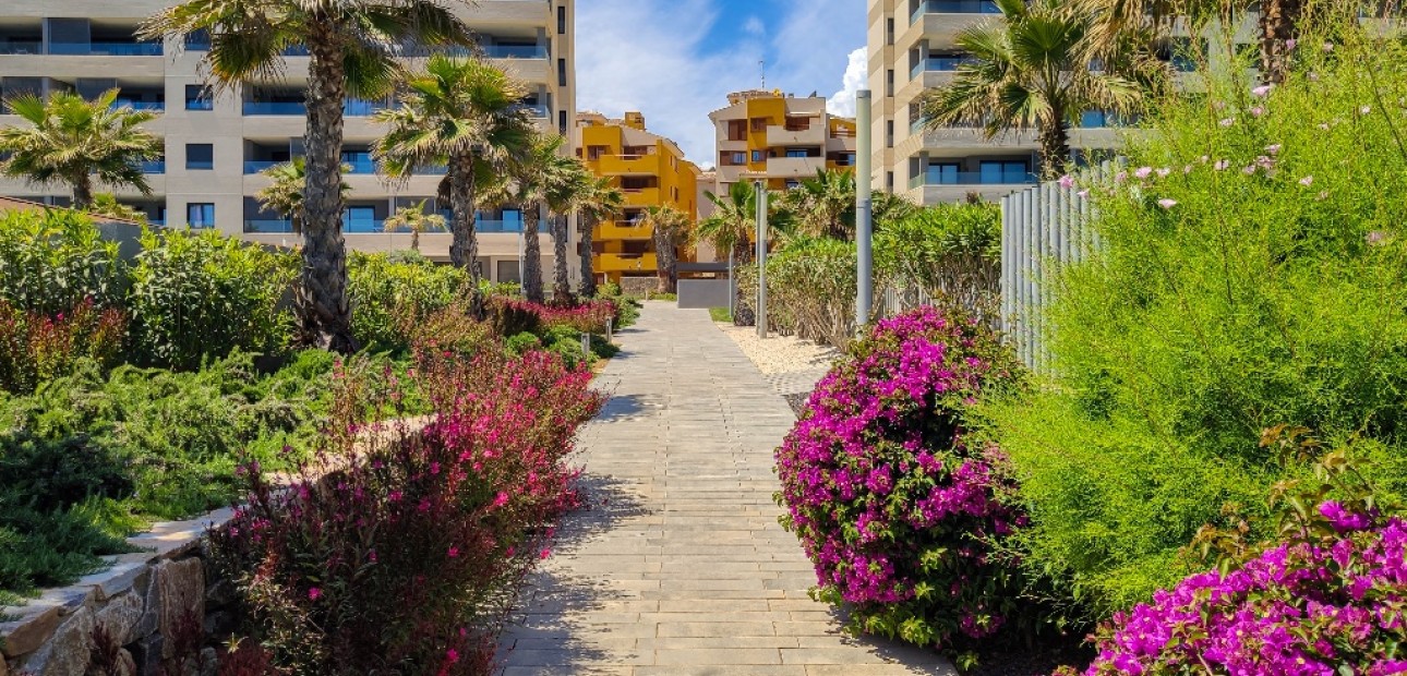 Vakantie verhuur - Appartement / flat -
Punta Prima - Panorama Mar