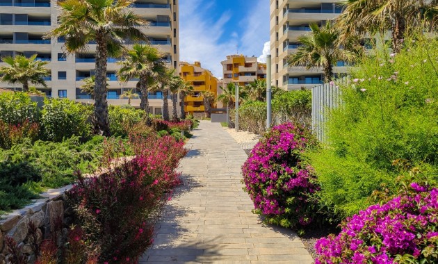 Alquiler a corto plazo - Apartamento / piso -
Punta Prima - Panorama Mar