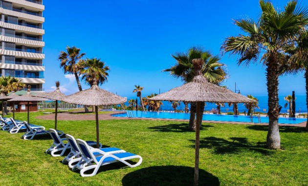 Alquiler a corto plazo - Apartamento / piso -
Punta Prima - Panorama Mar