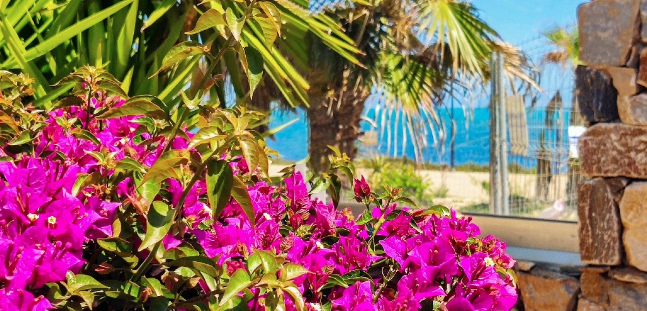 Vakantie verhuur - Appartement / flat -
Punta Prima - Panorama Mar