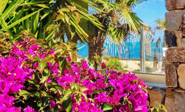 Alquiler a corto plazo - Apartamento / piso -
Punta Prima - Panorama Mar