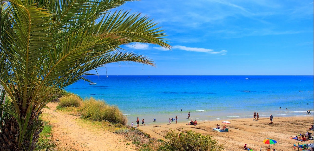 Nieuwbouw - Villa -
Cabo Roig