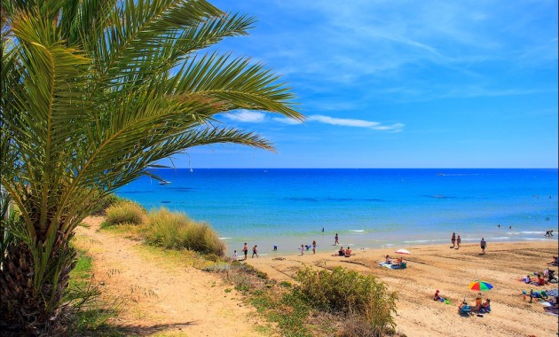 Nieuwbouw - Villa -
Cabo Roig