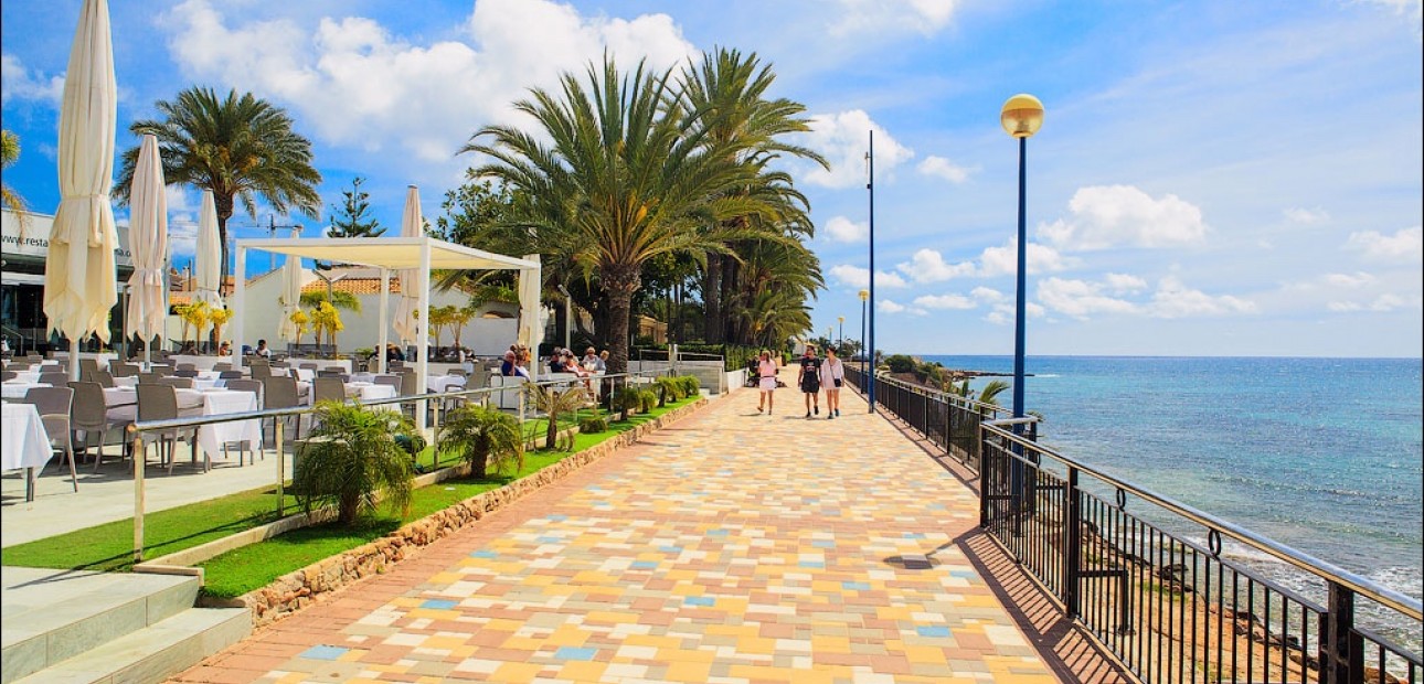 New Build - Villa -
Los Altos