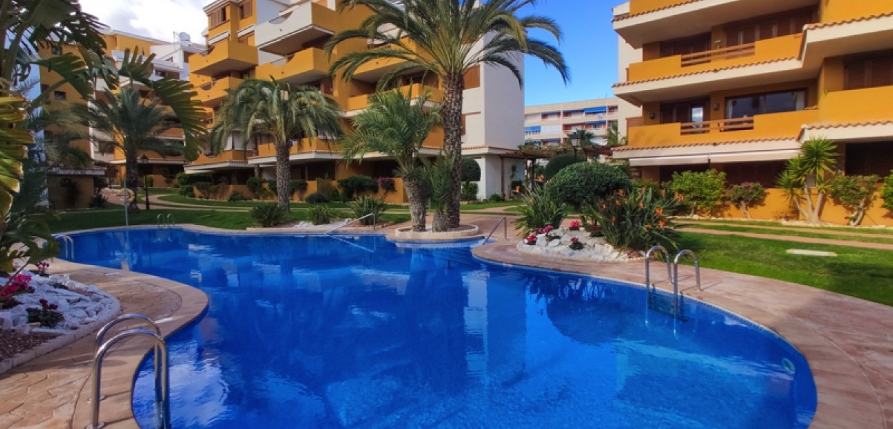 Short time rental - Apartment / flat -
Punta Prima - La Entrada