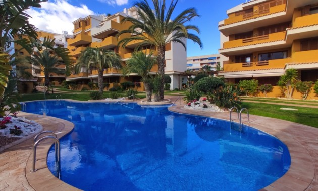 Alquiler a corto plazo - Apartamento / piso -
Punta Prima - La Entrada