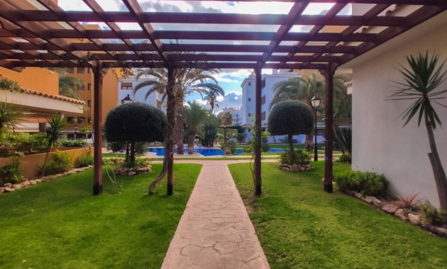 Alquiler a corto plazo - Apartamento / piso -
Punta Prima - La Entrada