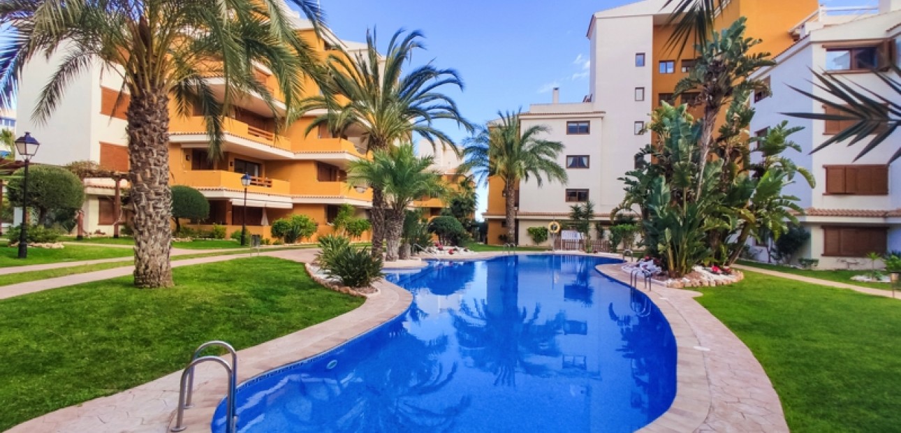 Short time rental - Apartment / flat -
Punta Prima - La Entrada