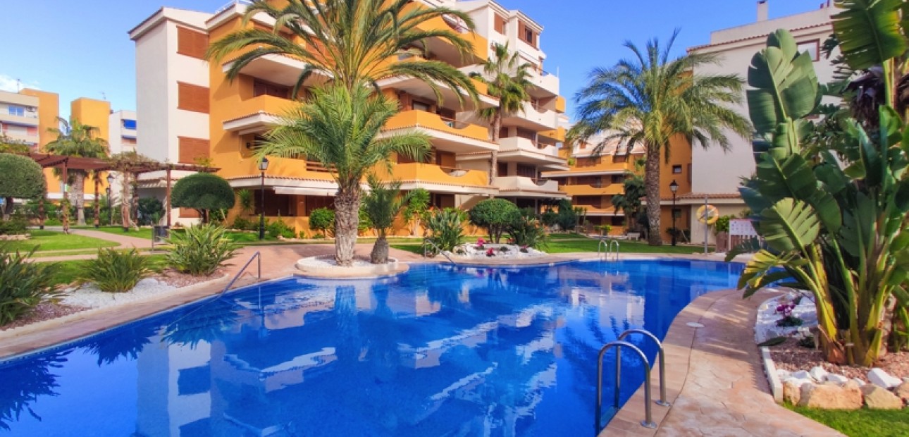 Short time rental - Apartment / flat -
Punta Prima - La Entrada