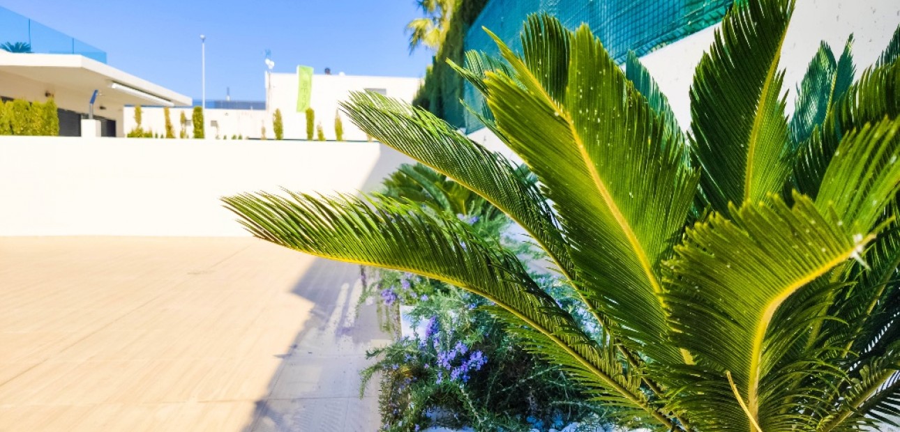 Nieuwbouw - Villa -
Dehesa de Campoamor