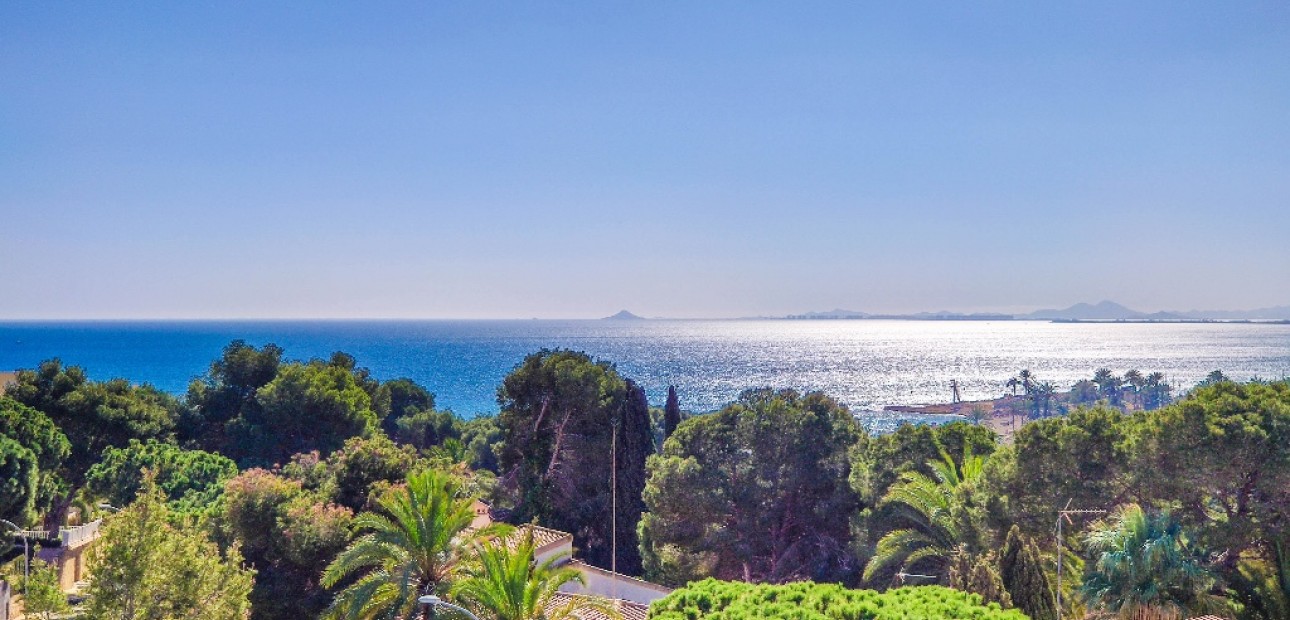 Nieuwbouw - Villa -
Dehesa de Campoamor