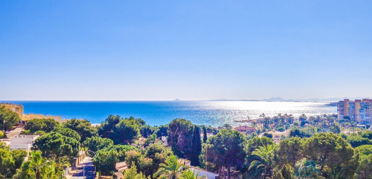 Nieuwbouw - Villa -
Dehesa de Campoamor