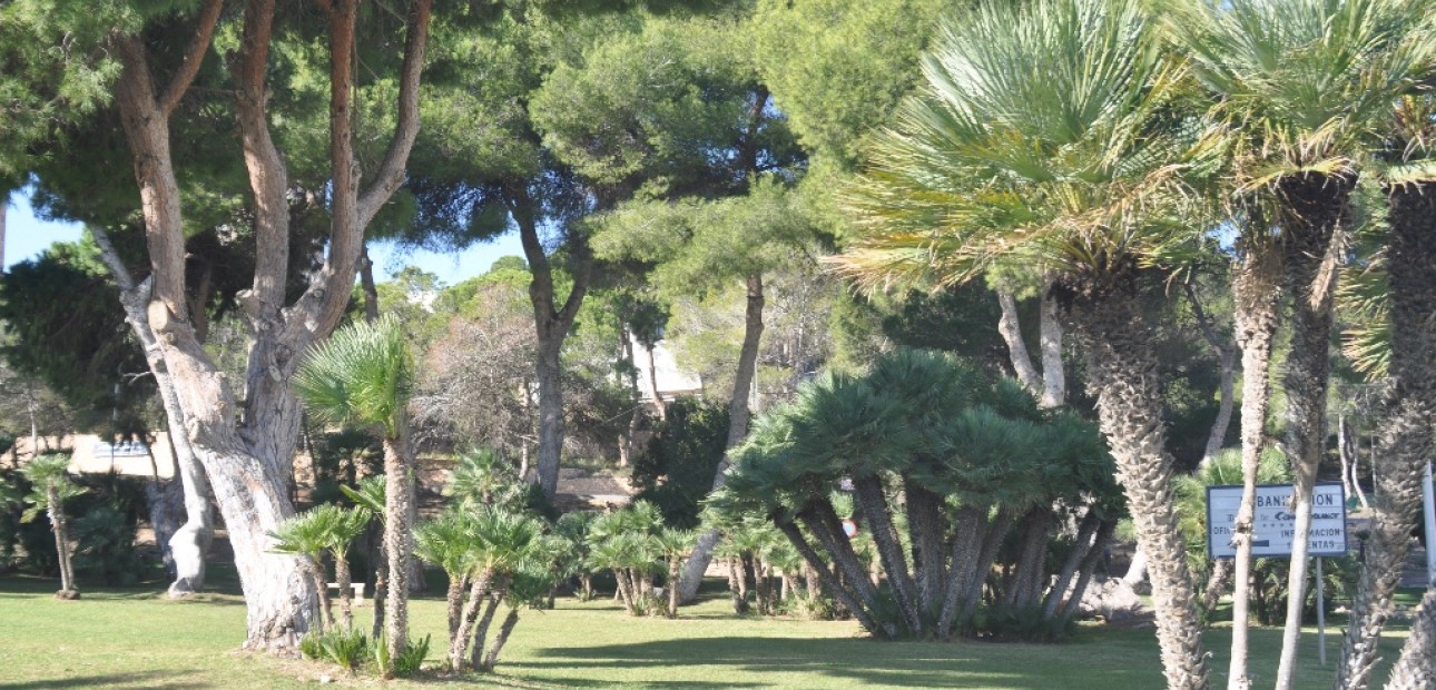 Nieuwbouw - Villa -
Dehesa de Campoamor