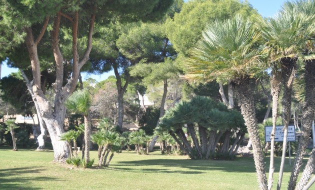Nieuwbouw - Villa -
Dehesa de Campoamor