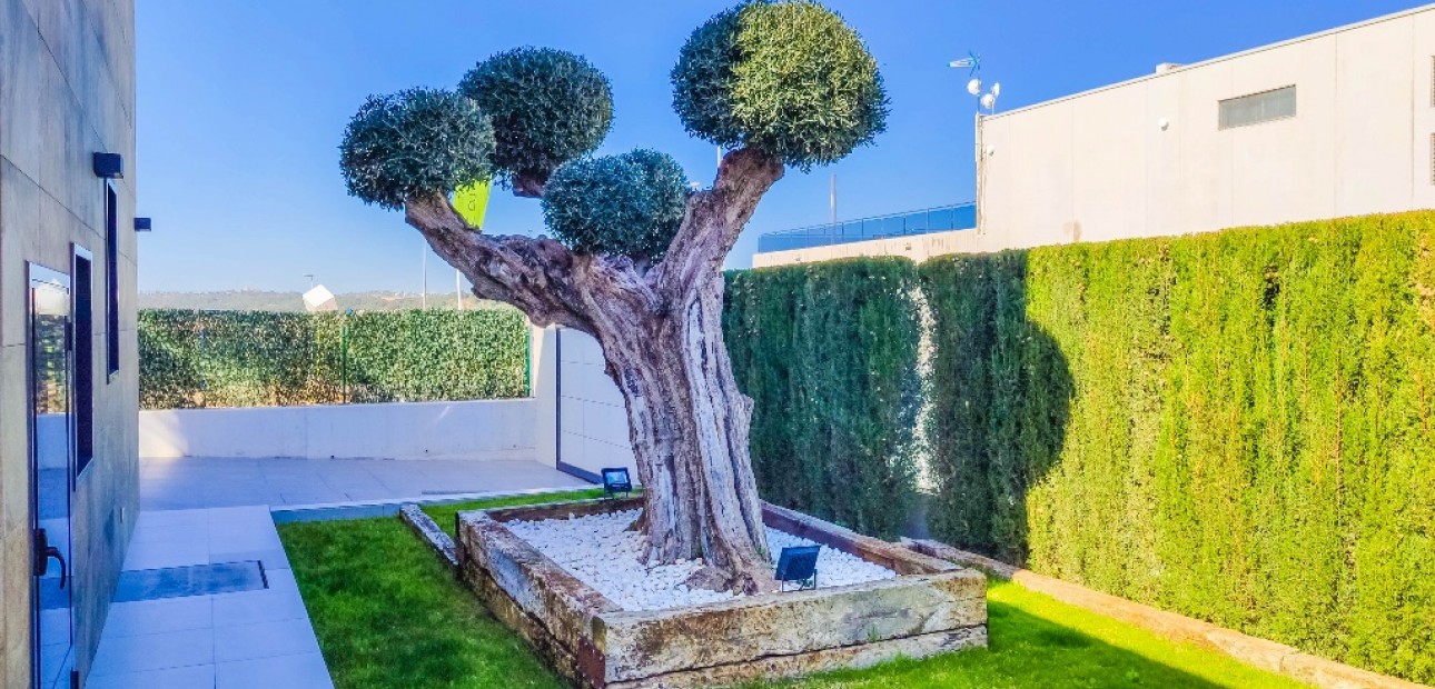 Nieuwbouw - Villa -
Dehesa de Campoamor