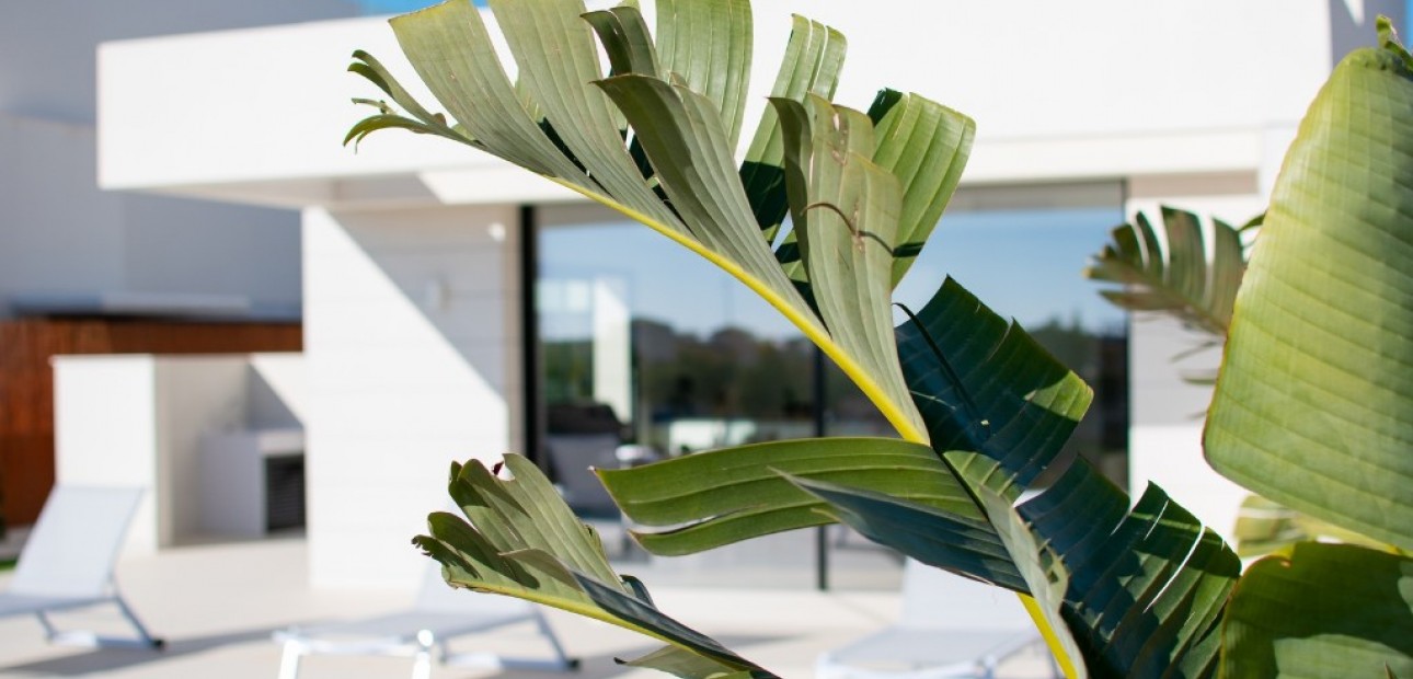 New Build - Villa -
Los Montesinos - La Herada