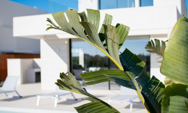 New Build - Villa -
Los Montesinos - La Herada