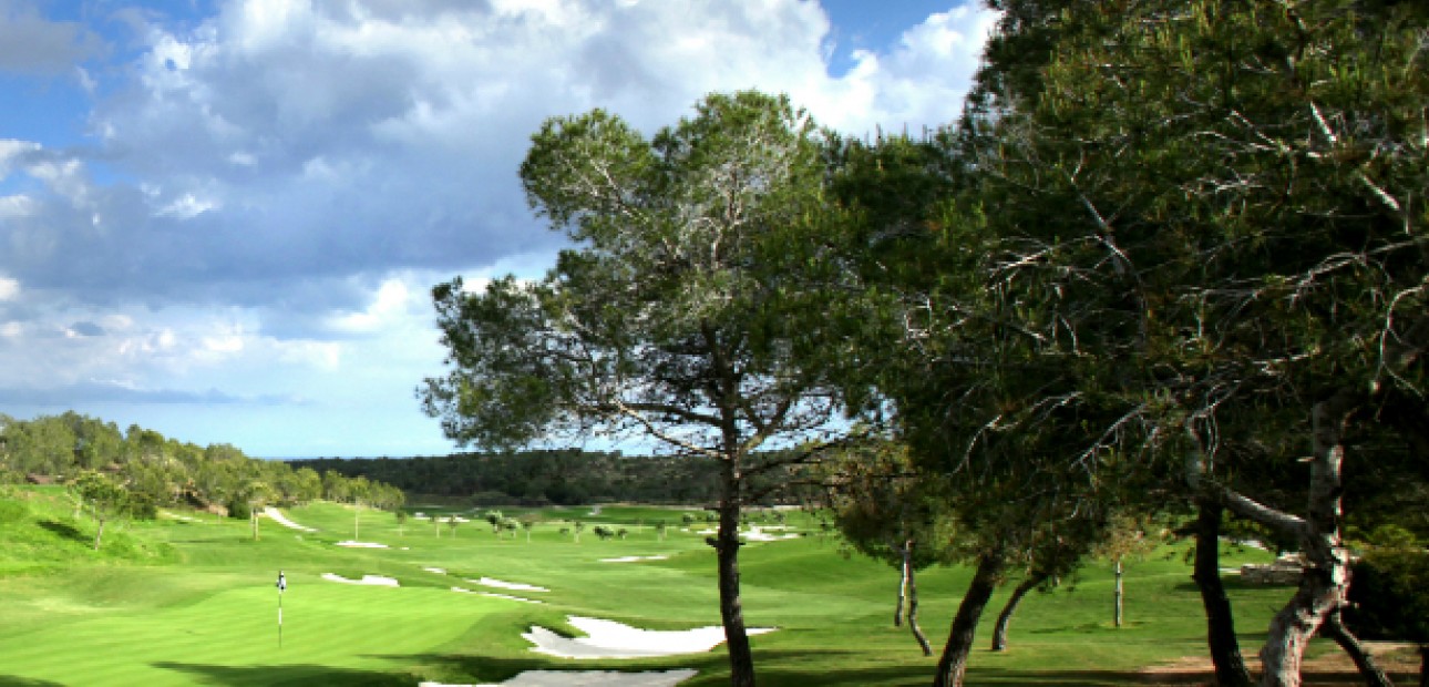 New Build - Villa -
Las Colinas - Las Colinas Golf