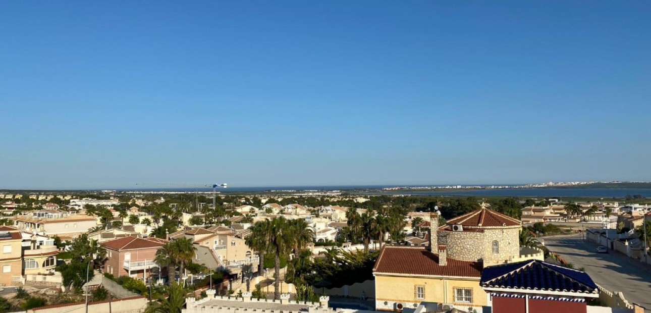 New Build - Villa -
Rojales