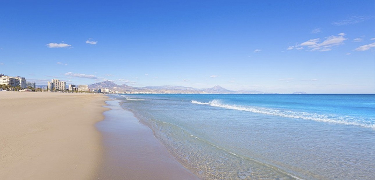 New Build - Villa -
Alicante