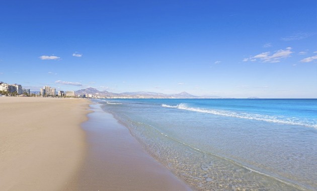 New Build - Villa -
Alicante