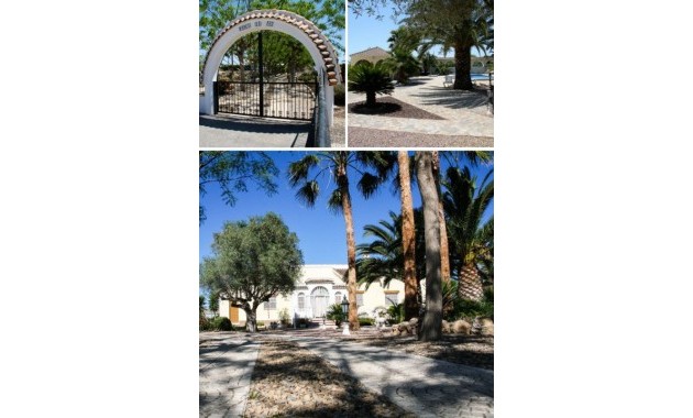 Herverkoop - Finca Country Property -
Daya Vieja