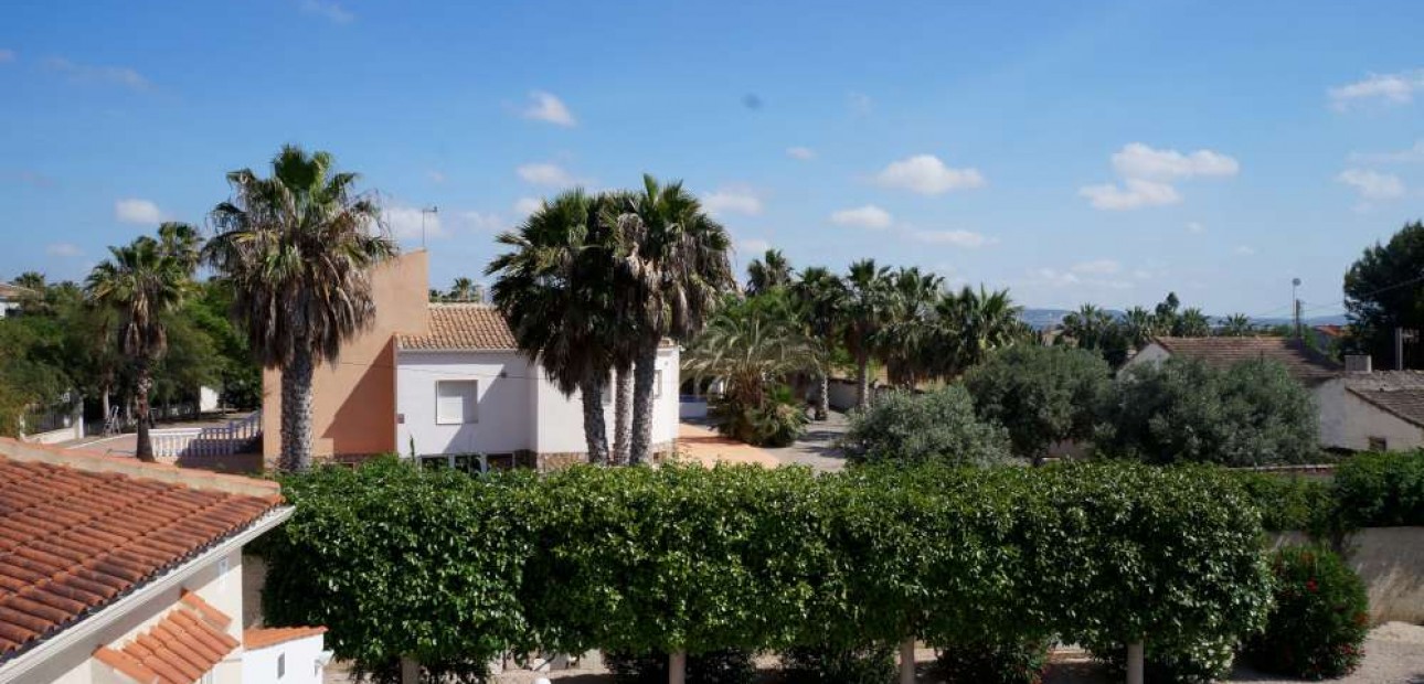 Venta - Finca Country Property -
Catral