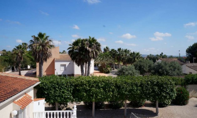 Venta - Finca Country Property -
Catral
