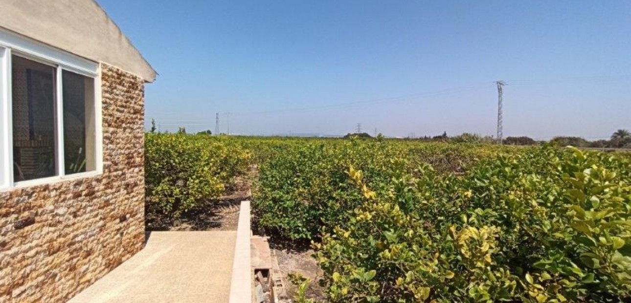 Sale - Finca Country Property -
San Miguel de Salinas