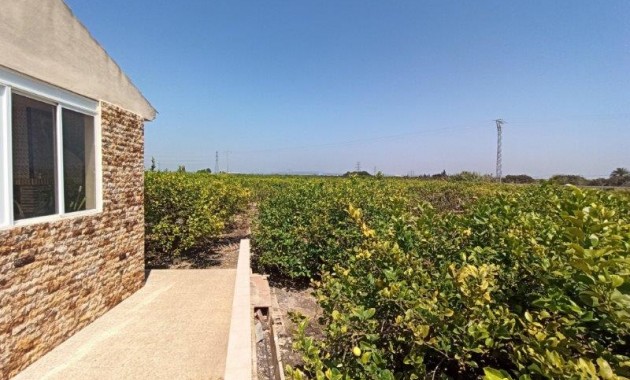 Sale - Finca Country Property -
San Miguel de Salinas